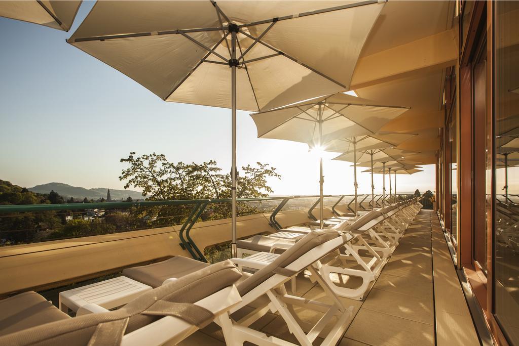 Mercure Panorama*布雷斯高弗莱堡