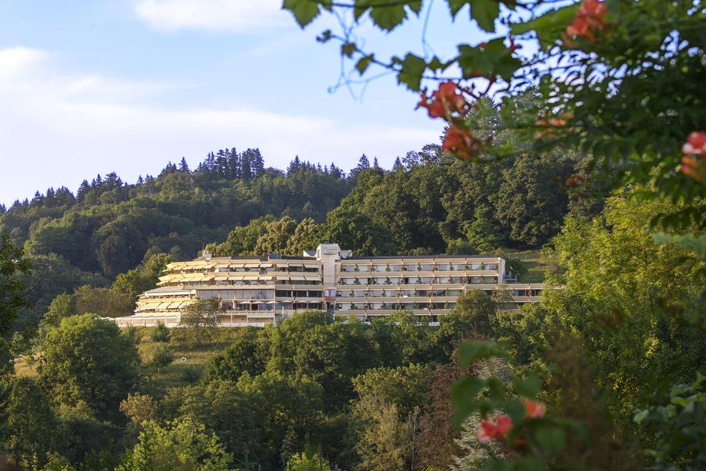 Mercure Panorama*布雷斯高弗莱堡